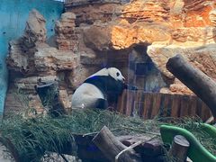 -石家庄市动物园