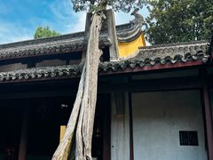 -太平天国侍王府