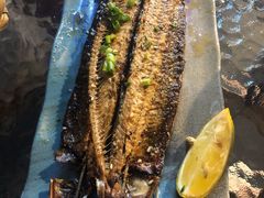 烤多春鱼-千岛蚝高压锅生蚝·人参火锅(白云万达店)