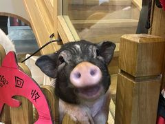 -藦茜花园宠物主题亲子互动体验馆(国顺东路店)