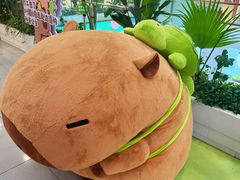 -汤城小厨•粤菜•靓汤(西直门凯德MALL店)