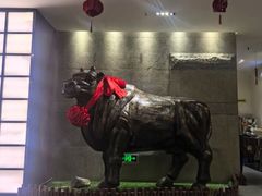 -秦宝雪花牛肉养生火锅(大兴九臻店)