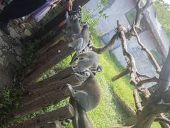-宁波野生动物园