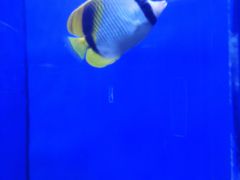 -石家庄海洋公园