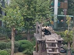 -大连森林动物园