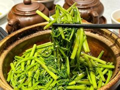 -熠盛粤味·顺德桑拿鸡(永康路店)