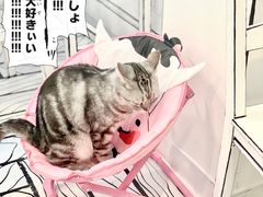 -白夜2D咖啡馆