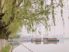 -天鹅湖体育公园