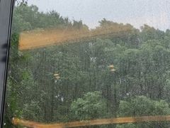 -潮府馆·非遗潮州菜·港式点心(世纪公园店)