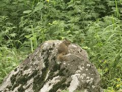 -秦岭终南山世界地质公园翠华山景区