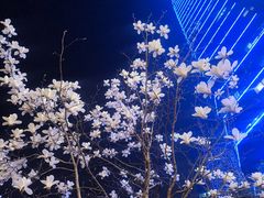 -天鹅湖体育公园