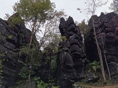 -梭布垭石林景区