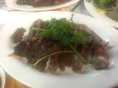 -乌文新澄海卤鹅店