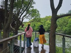 -昆山城市生态森林公园