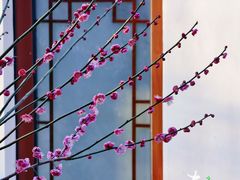 -柳鹭田园区