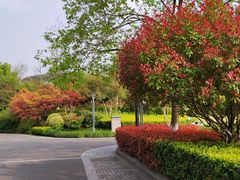 -杭州城北体育公园