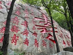 -沂蒙山旅游区龟蒙景区