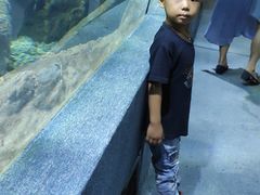 -南昌海洋公园