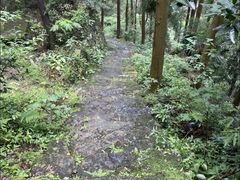 -雁荡山风景名胜区