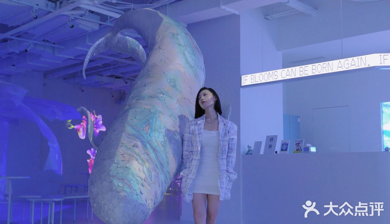 成都南门看展｜🐋BLOOMS繁花·光怪陆离的世界里遨游