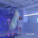 成都南门看展｜🐋BLOOMS繁花·光怪陆离的世界里遨游