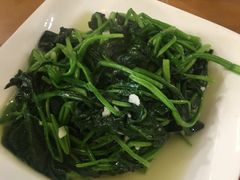炒菠菜-乡亲鹅肉城(吴江店)