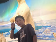 -陕西自然博物馆