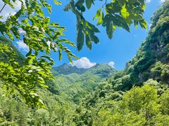 -老君山风景名胜区