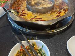 -一斗火锅·招财羊毛肚(北温泉九号店)