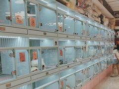 -FAELING PETS美天灵宠物(合生汇店)