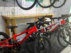 -GIANT捷安特自行车专卖店(金桥台儿庄路店)