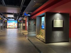 -万达影城(锦华万达广场IMAX店)