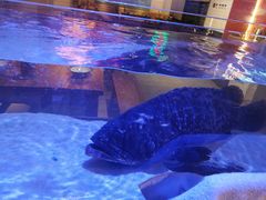 -十六蒲(桂林路店)