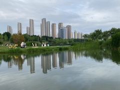-西安浐灞国家湿地公园
