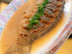 -洛阳国际大酒店