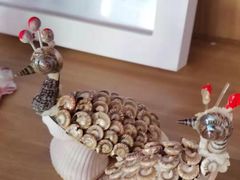 -雅逸居海鲜小厨