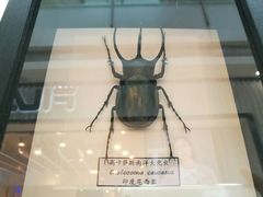-宁波鄞州万达广场