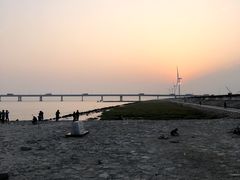 -南汇新城海滩
