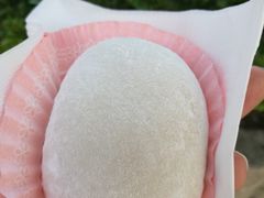 榴莲糯米糍-澳门长洲糯米糍(柯打苏沙街店)