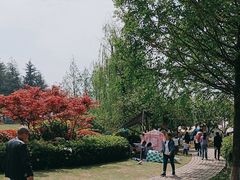 -铁山坪森林公园