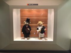 -济州岛泰迪熊博物馆