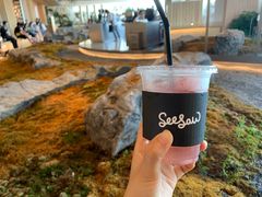 -Seesaw Coffee(朝阳大悦城店)