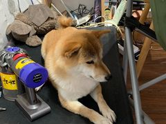 -About Bistro關於·泰式家庭料理