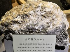 -陕西自然博物馆