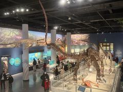 -国家自然博物馆