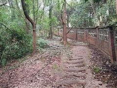 -成都老君山