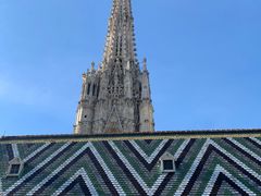 -斯蒂芬主教座堂(Stephansdom)
