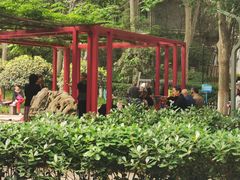 -长乐公园游乐场