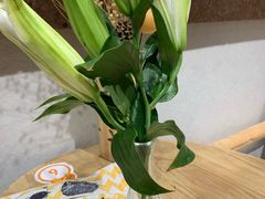 -藏猫猫咖啡主题馆(中央大道店)