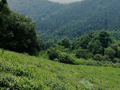 -敬亭山风景名胜区